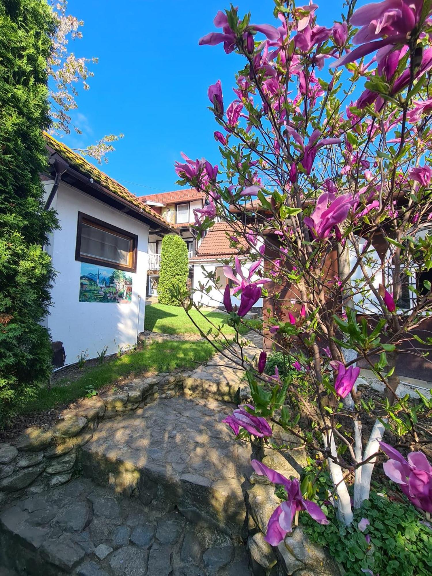Casa Bonita Saliste Hotel Екстериор снимка